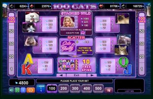 100 Cats spillemaskine detalje billede 1