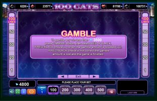 100 Cats spillemaskine detalje billede 3