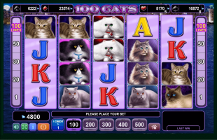 100 Cats Spillemaskine Skærm