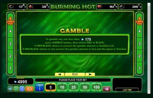 Burning Hot spillemaskine detalje billede 2