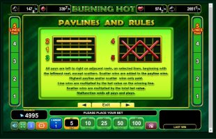 Burning Hot spillemaskine detalje billede 4