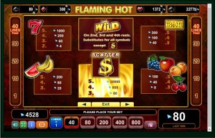 Flaming Hot spillemaskine detalje billede 1