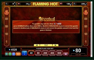 Flaming Hot spillemaskine detalje billede 2