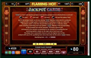 Flaming Hot spillemaskine detalje billede 3