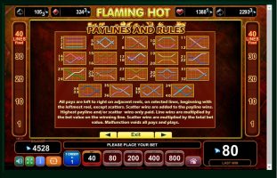 Flaming Hot spillemaskine detalje billede 4