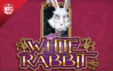 White Rabbit Spillemaskine