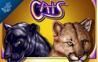cats online spillemaskine