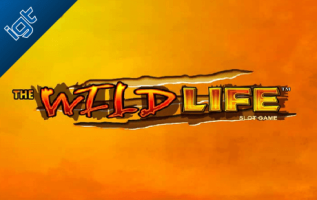 wild life online spillemaskine