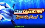 cash connection dolphins pearl online spillemaskine