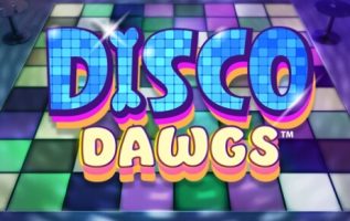 disco dawgs online spillemaskine