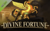 divine fortune online spillemaskine