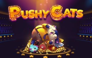 pushy cats online spillemaskine