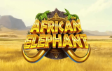 African Elephant Spillemaskine