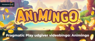 Pragmatic Play udgiver videobingo: Animingo