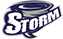 Storm Gaming Storm Gaming